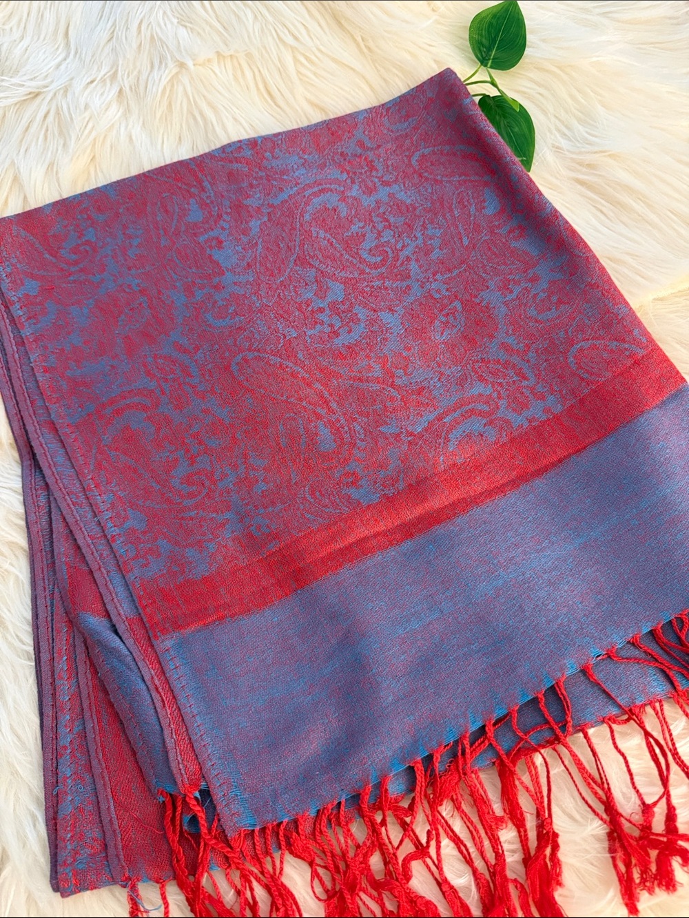 Pashmina Women's Red & Blue Paisley Fringe Scarf